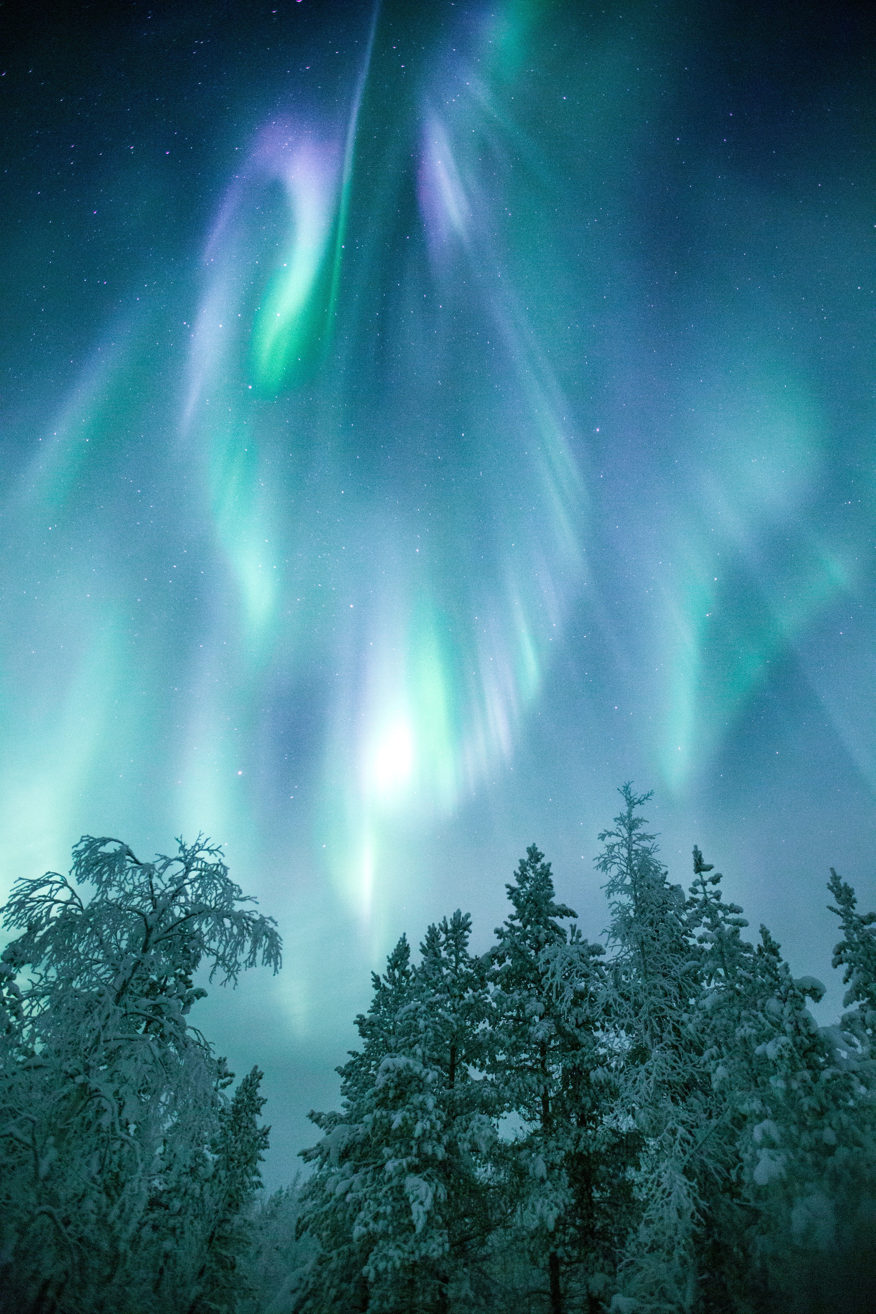 image of northern lights display above trees in Finland